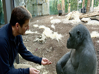 Tierpfleger Markus Klostermeier (links) und Gorilladame Sonja (rechts)