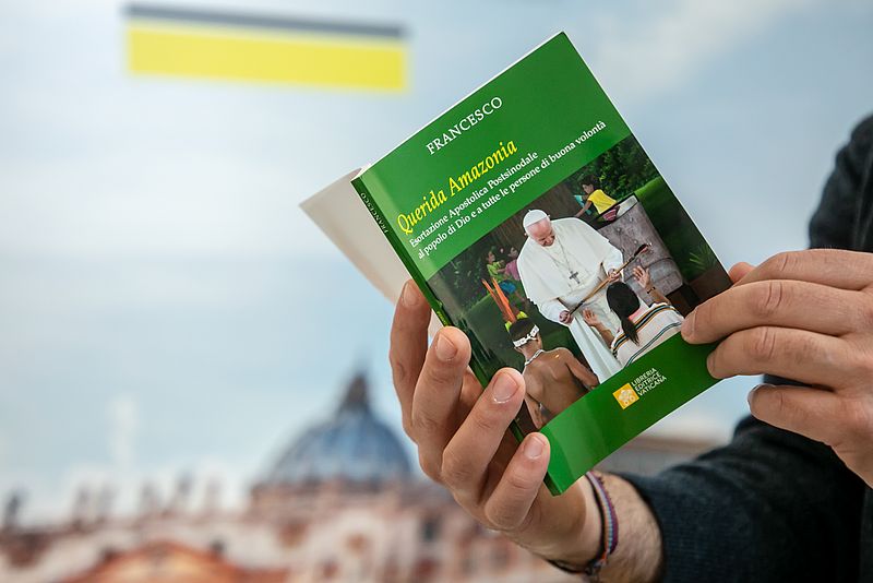 Eine Person hält das Nachsynodale Apostolische Schreiben "Querida Amazonia" von Papst Franziskus zur Amazonas-Synode in der Hand.