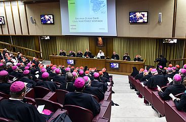Die Synodenaula im Vatikan