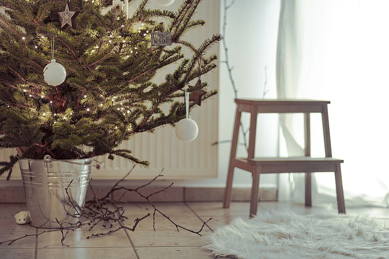 In einem Wasserkübel bleibt der Weihnachtbaum länger frisch.
