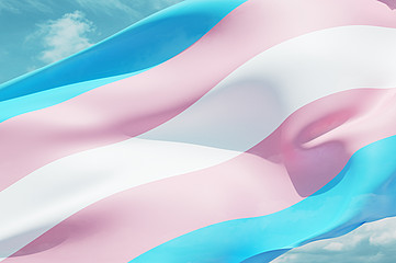 TransgenderFlagge