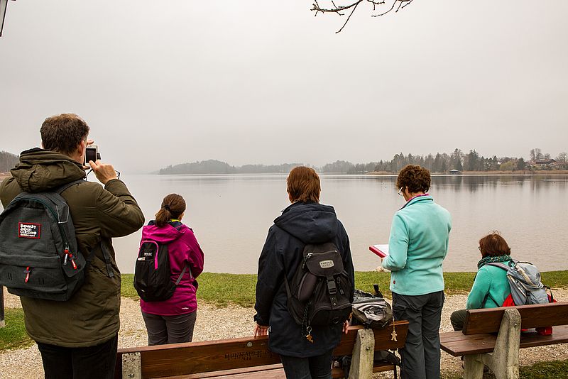 Die Teilnehmer blicken in einer Pause auf den wolkenverhangenen Staffelsee