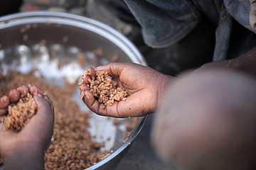 Afrikanische Kinder essen braunen Reis aus einer Schüssel