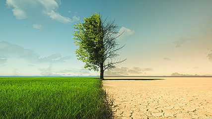 Schaubild zum Klimawandel mit grünem Wachstum auf der linken und Dürre auf der rechten Seite.