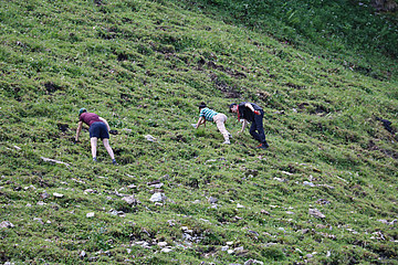 Drei Personen greifen am Berg in die Wiese, sie sind mit dem Rücken zu sehen
