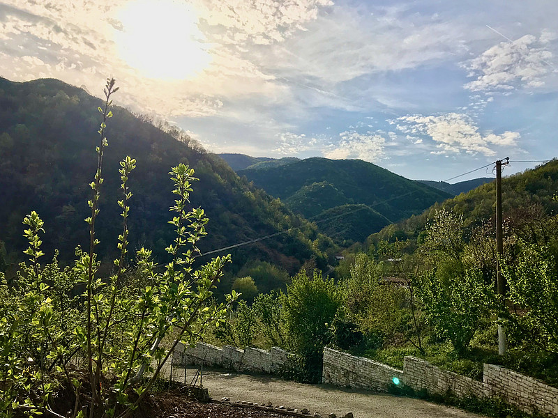 Albanien: Blick ins Grüne
