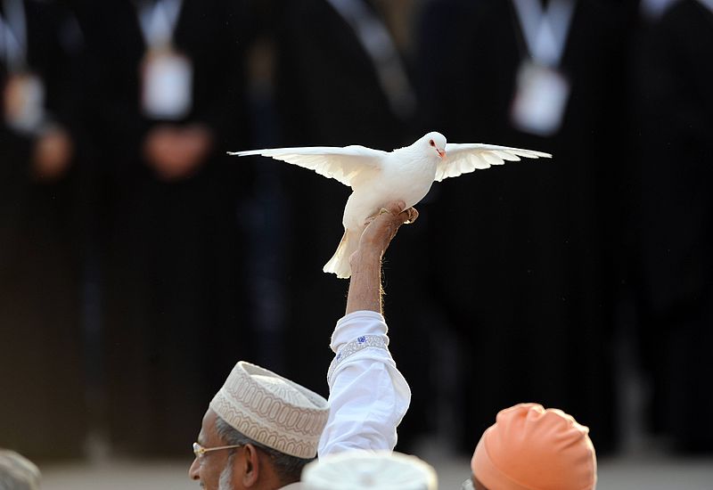 Die Taube ist das Symbol des Friedens