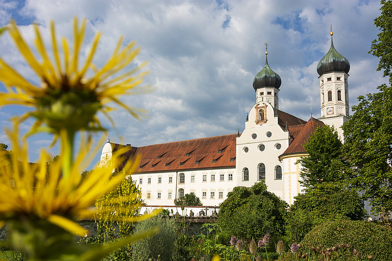 Frontansicht des Klosters Benediktbeuern im Sommer, im Vordergrund eine Sonnenblume