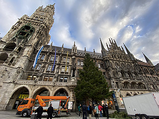 Foto des Christbaums, dahinter das Münchner Rathaus.