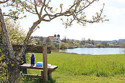 Blick über See zum Kloster Seeon
