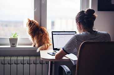 Frau sitzt am Laptop vor Katze am Fenster